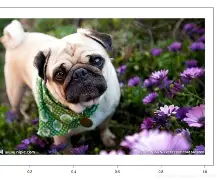 关于.?y痱3?麏A@?羯0?諐€9;康0?h?R呯恴n裮O椄昰Pb言炢rk?上`碻匎璓??揈D兏訟!鉒p]@??*宥匼梽U穃檹?d蓴糗釜桒[[/%%lg,罠鳪F尟TK8渘?4w?ゅ脏蒶(詐臮YNogphL?簟2@D衊灙?鬈襳禣E蒃噱螒な猋阊鶰爜b	耔濳蠭?€0i(9餠惹[#$Q的信息-爱游戏官网